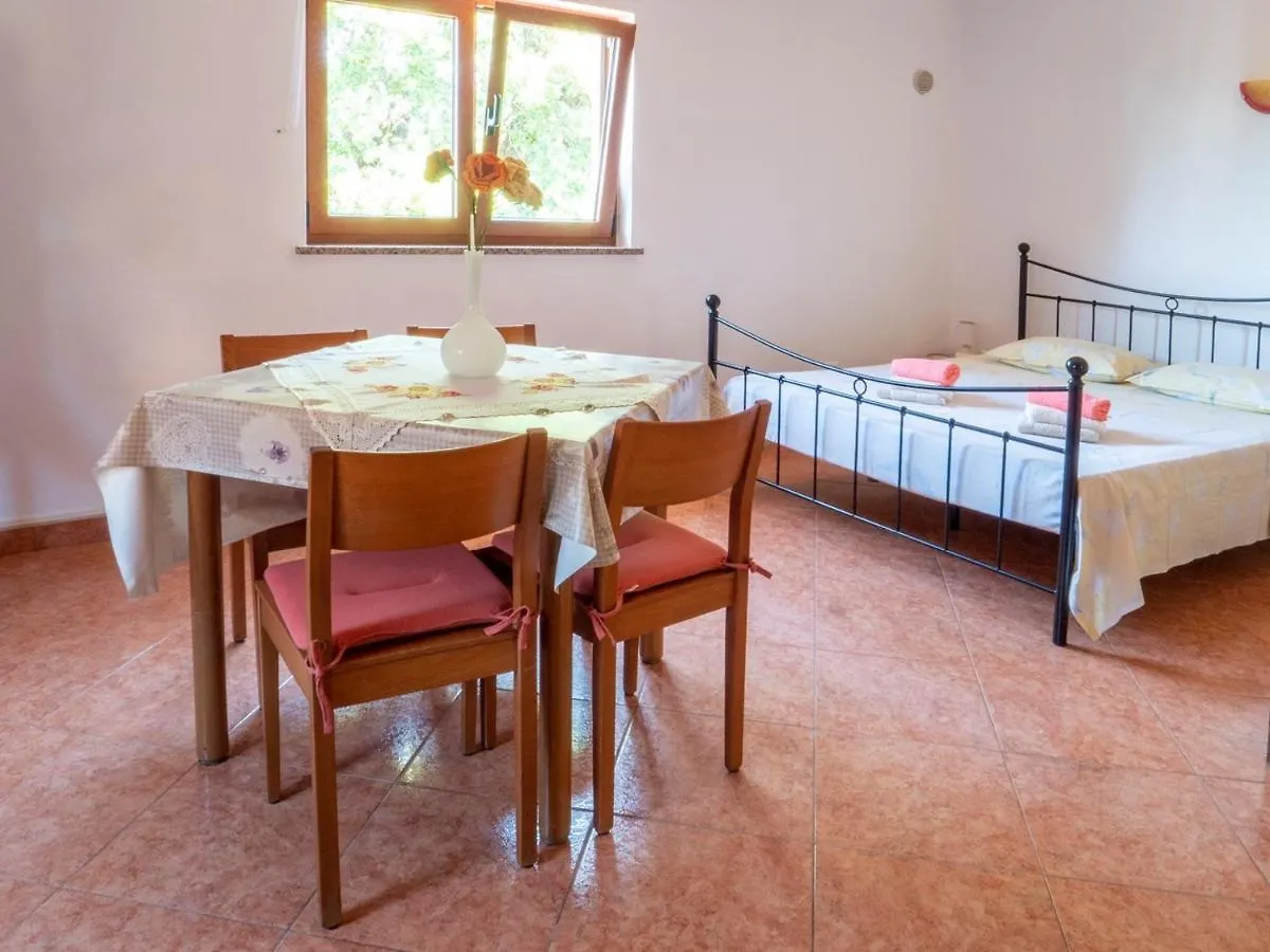 Studio Apartment Gianni Vižinada 0*,