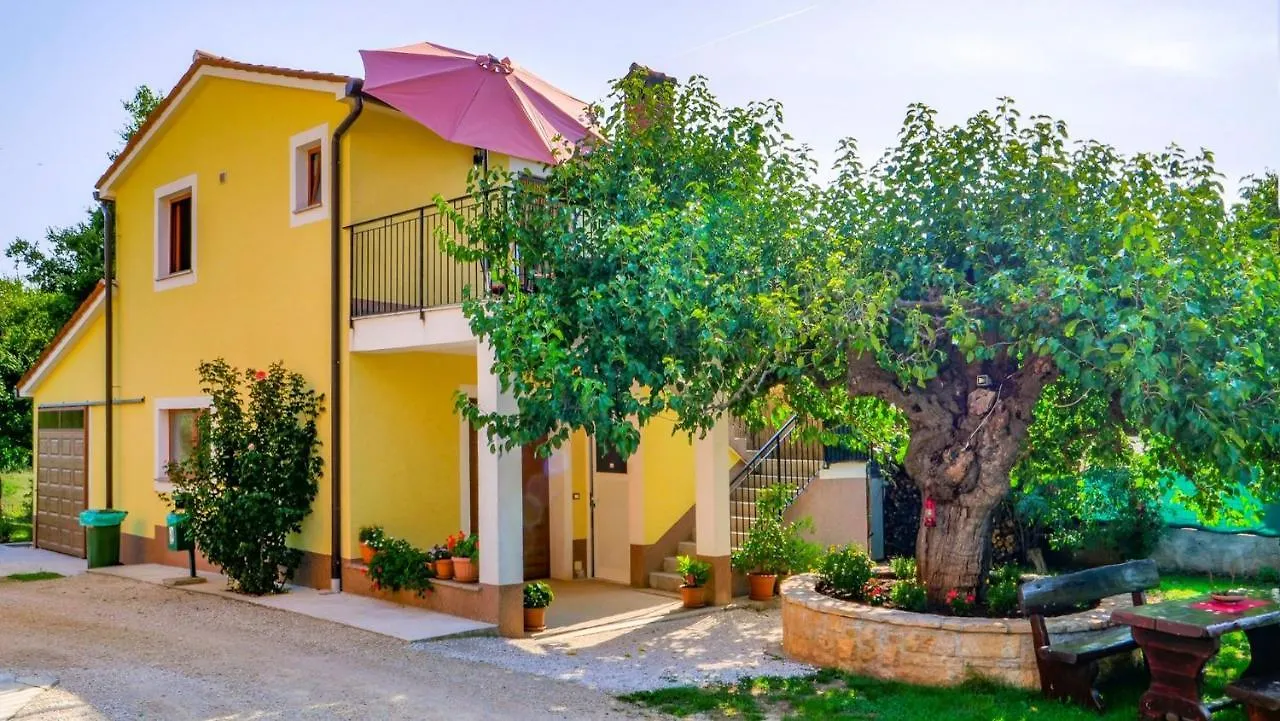 Studio Apartment Gianni Vižinada