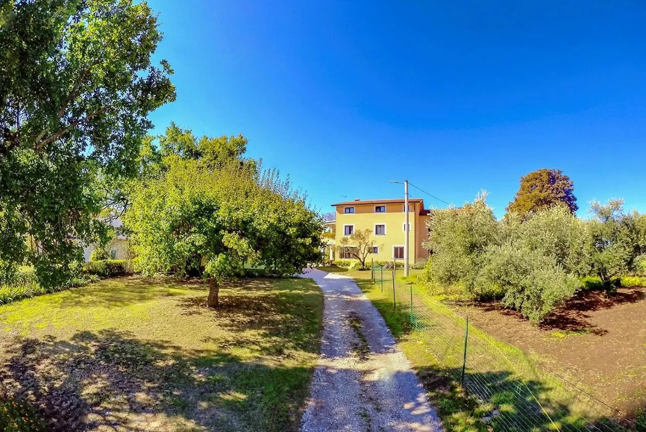 Studio Apartment Gianni Vižinada